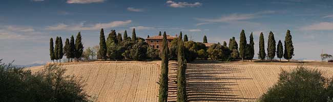 网络ddos攻击软件