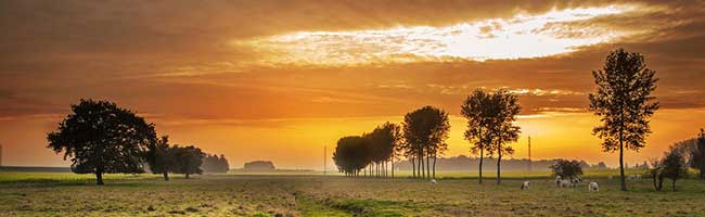 帮您解决问题的网站防ddos攻击